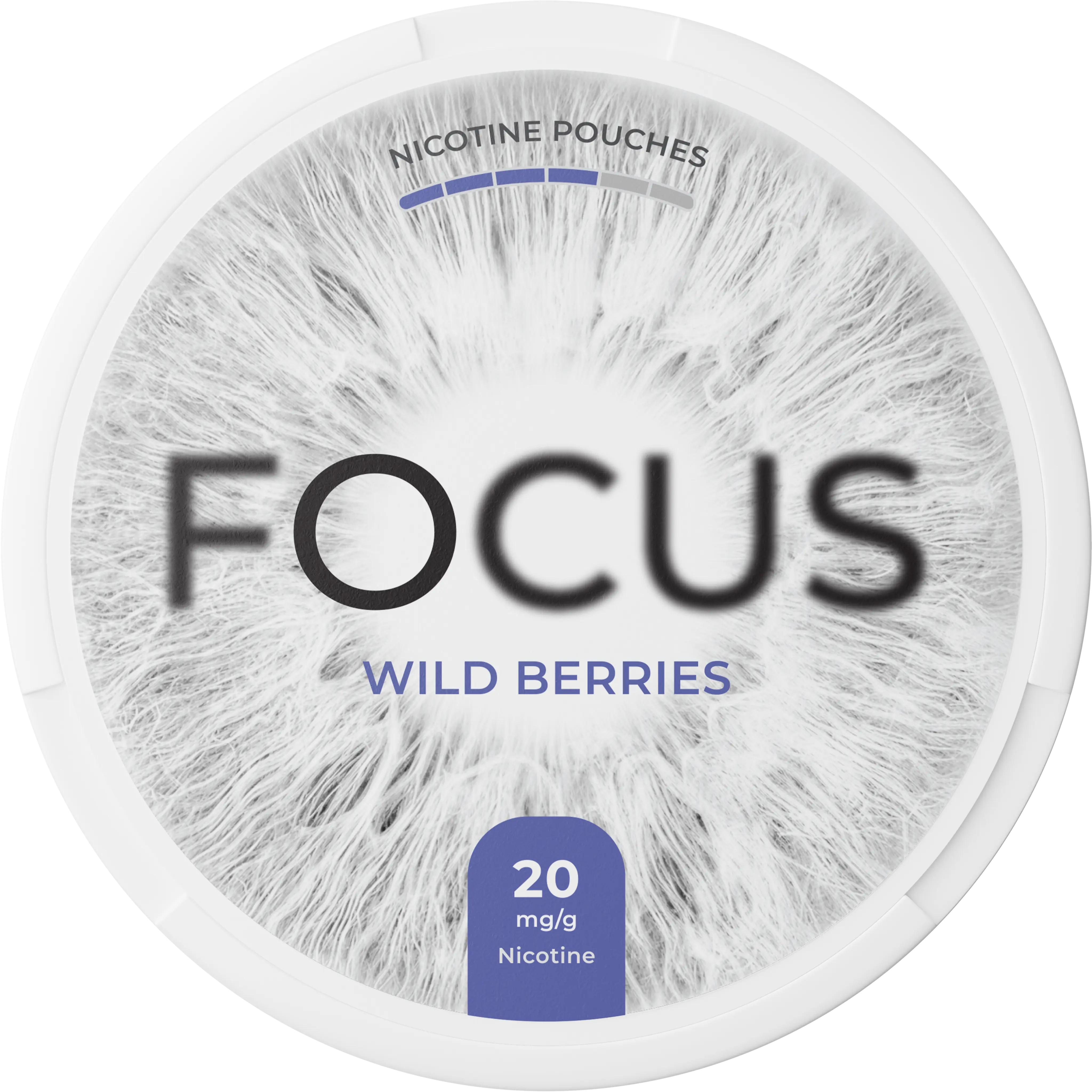 WILD BERRIES